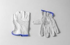 NADC20002 / "TOP" COW GRAIN LEATHER GLOVES LEATHER BACK